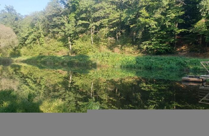 Terrain — photo 3