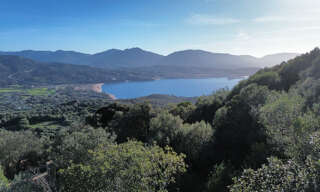 Terrain  2400 m² à vendre à Olmeto (20113)