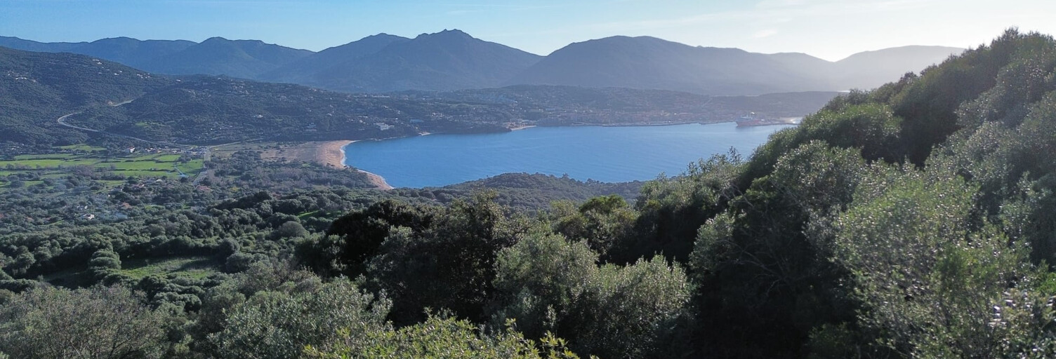 Terrain  2400 m² à vendre à Olmeto (20113)