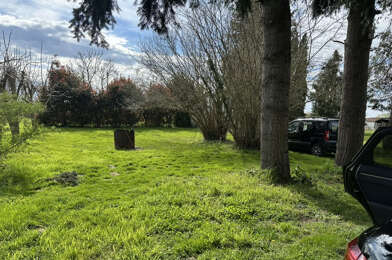 Terrain  35000 €