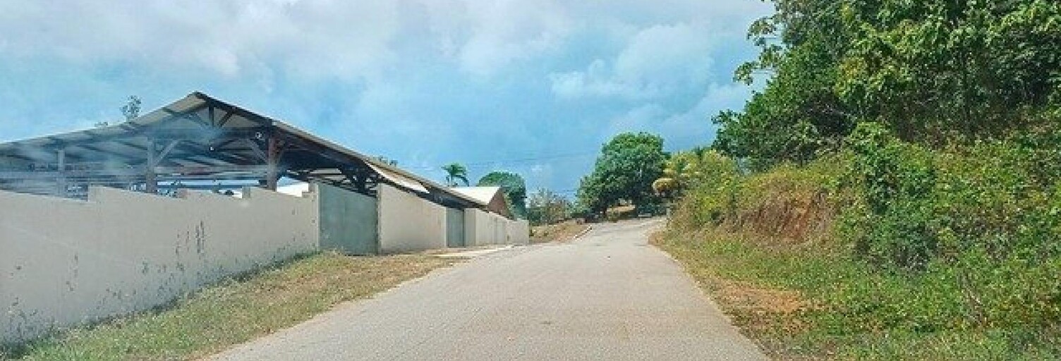 Photo N° 2