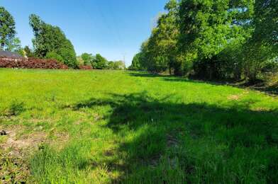Terrain  89000 €