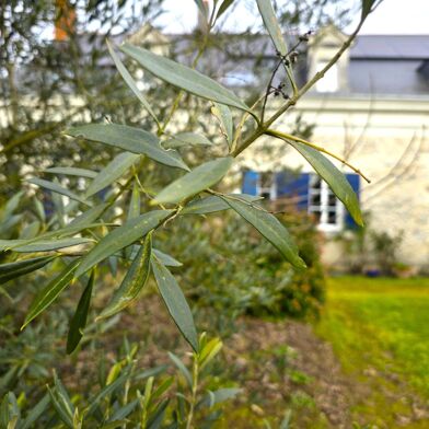 Maison 12 pièces 443500 €