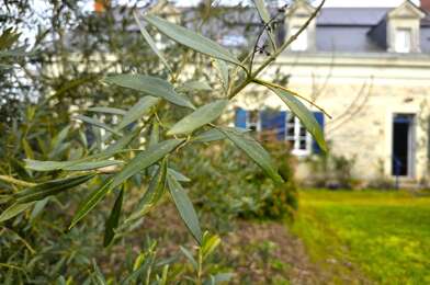 Maison 12 pièces 443500 €