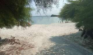 Terrain  152 m² à vendre à Roscoff (29680)