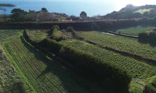 Photo N° 2