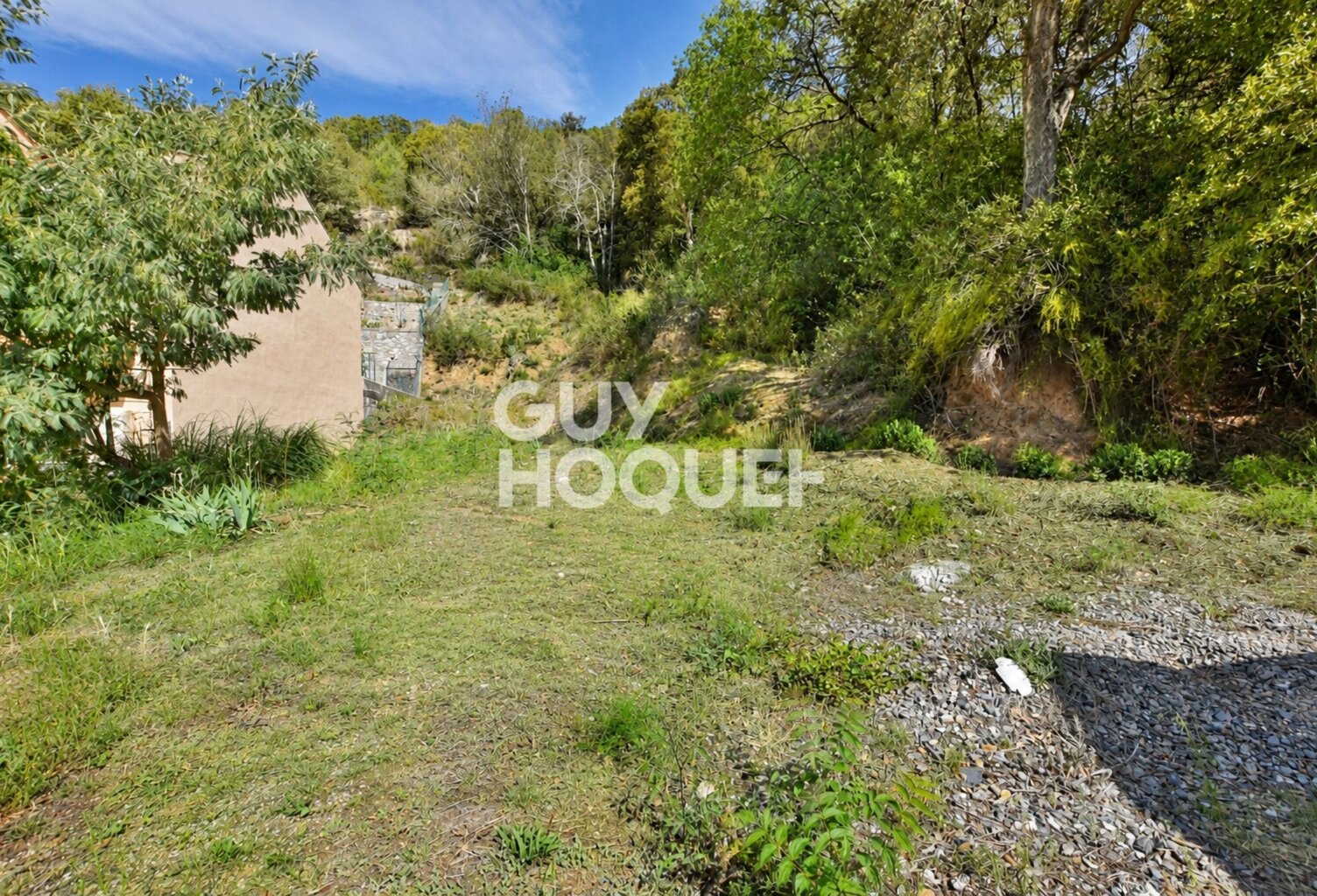 terrain — photo 1