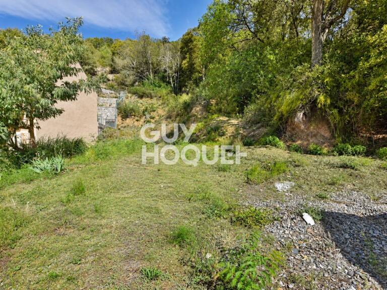 terrain — photo 1