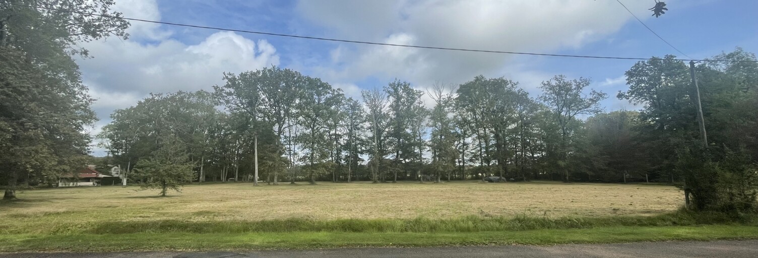 Terrain  2203 m² à vendre à Ervauville (45320)