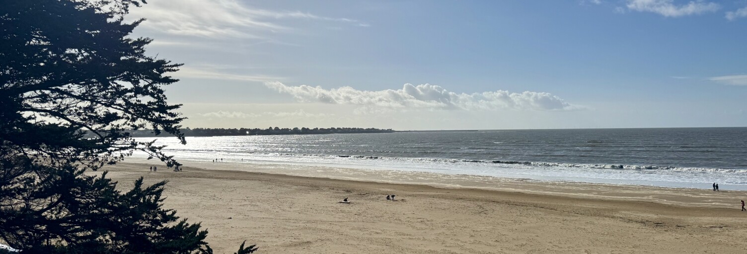 Appartement 2 Pièces 32 m² à vendre à Saint-Michel-Chef-Chef (44730)