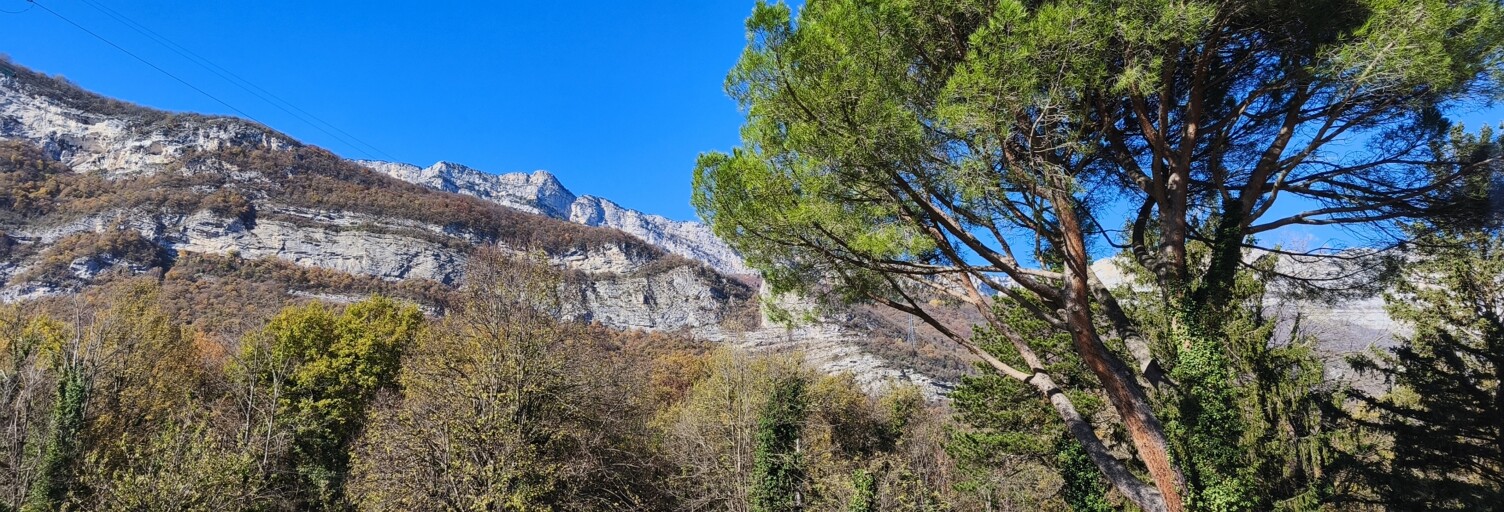 Maison 6 Pièces 199 m² à vendre à Varces-Allières-et-Risset (38760)