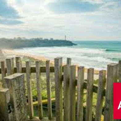 Commerce  911200 €