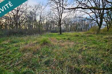 Terrain  29000 €