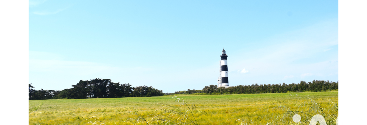 Terrain  900 m² à vendre à Saint-Denis-d'Oléron (17650)