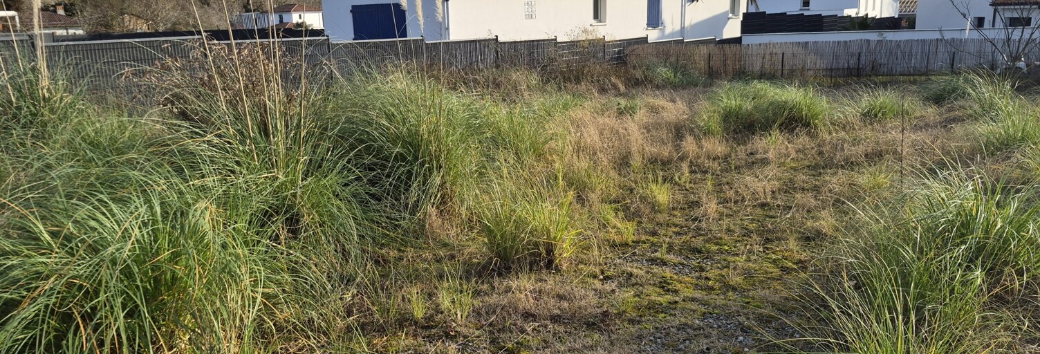 Terrain  482 m² à vendre à Anglet (64600)