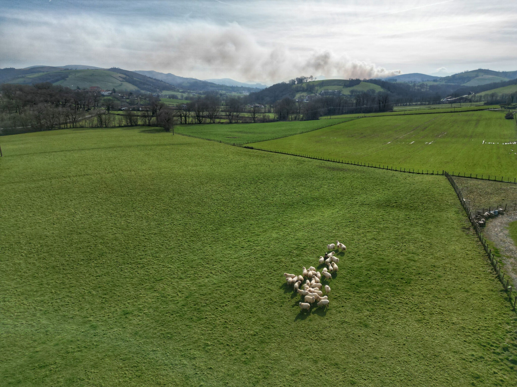 Terrain  à vendre Irissarry 64780