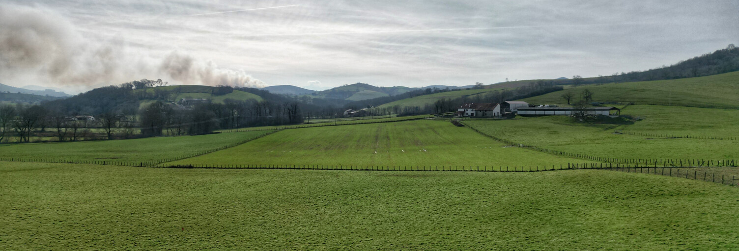 Terrain  2000 m² à vendre à Irissarry (64780)