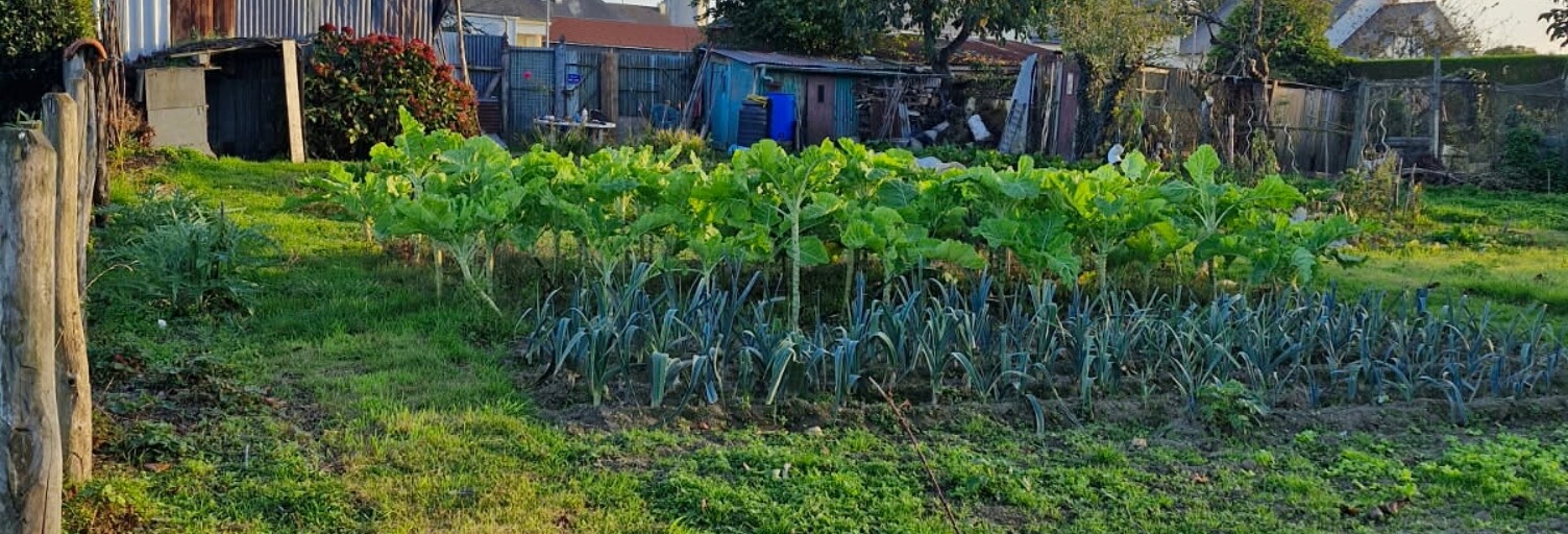 Terrain  1155 m² à vendre à Val-Couesnon (35560)