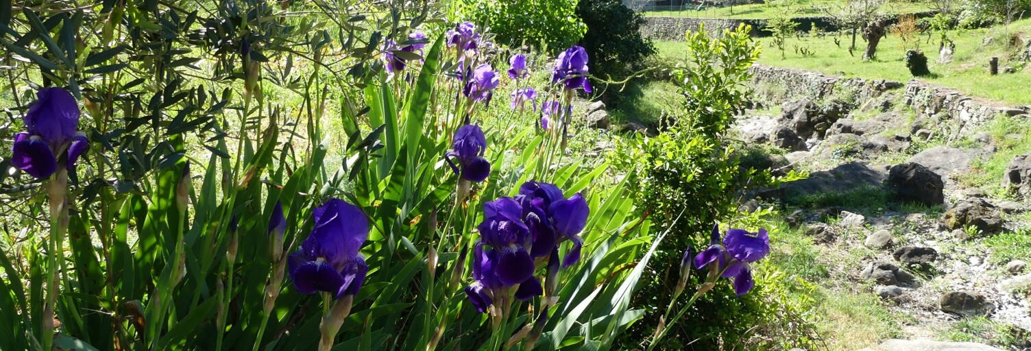 Maison 4 Pièces 92 m² à vendre à Meyrannes (30410)