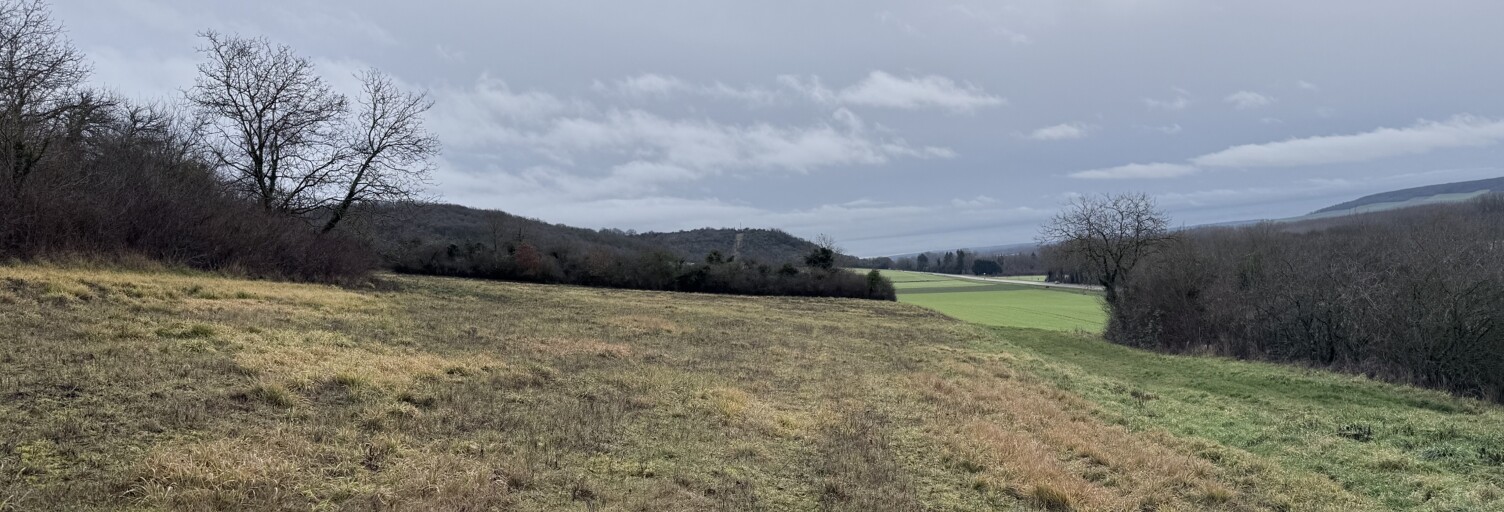 Terrain  943 m² à vendre à Saint-Aubin-sur-Yonne (89300)