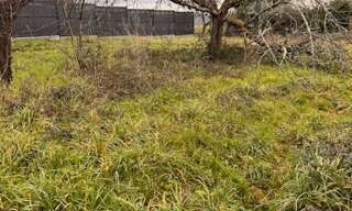 Terrain  1800 m² à vendre à Targon (33760)