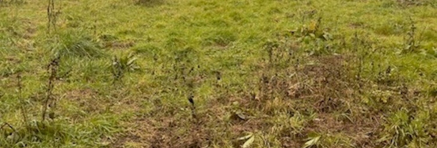 Terrain  650 m² à vendre à Rions (33410)