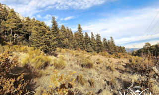 Terrain  13495 m² à vendre à Caille (06750)