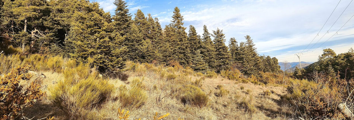 Terrain  13495 m² à vendre à Caille (06750)