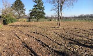 Terrain  410 m² à vendre à Castres-Gironde (33640)