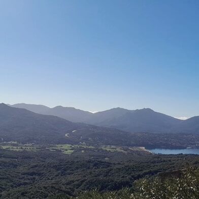 Maison 10 pièces 374500 €