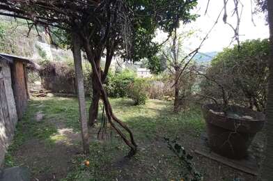 Maison 10 pièces 374500 €