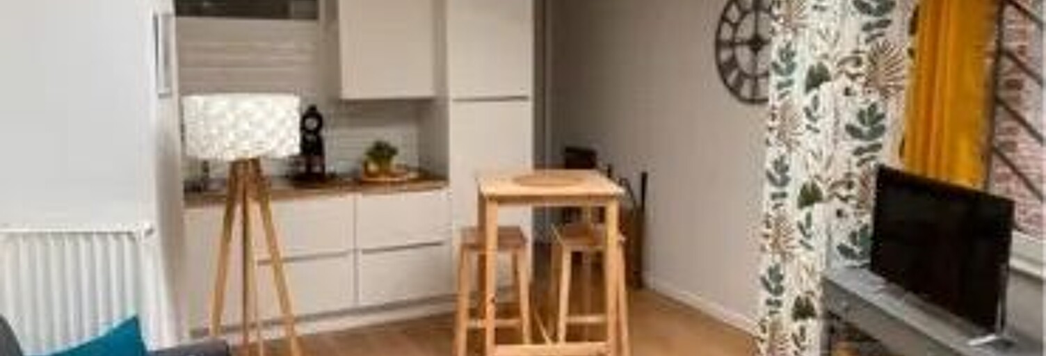 Appartement 1 Pièce 31 m² à louer à Lille (59000)