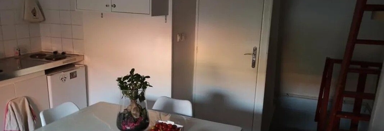 Appartement 1 Pièce 23 m² à louer à Lille (59000)