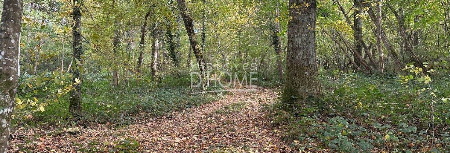 Terrain  50246 m² à vendre à Saint-Siméon (77169)