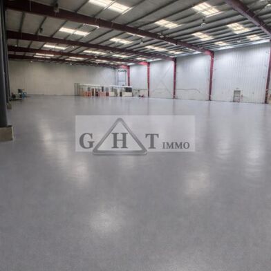 Local industriel  4850000 €