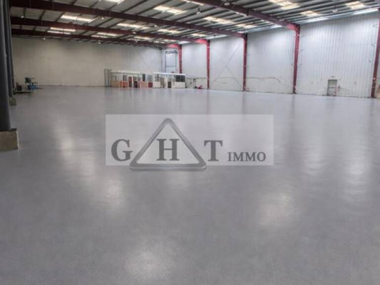 ENTREPOT 4700 M2 A VENDRE GRETZ ARMAINVILLIERS — photo 1