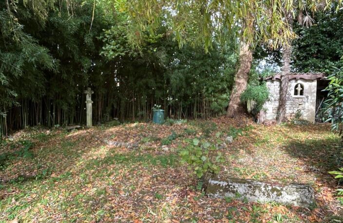 Saint-Savinien, charmante propriété ancienne rénovée avec jardin planté et ruisseau — photo 4