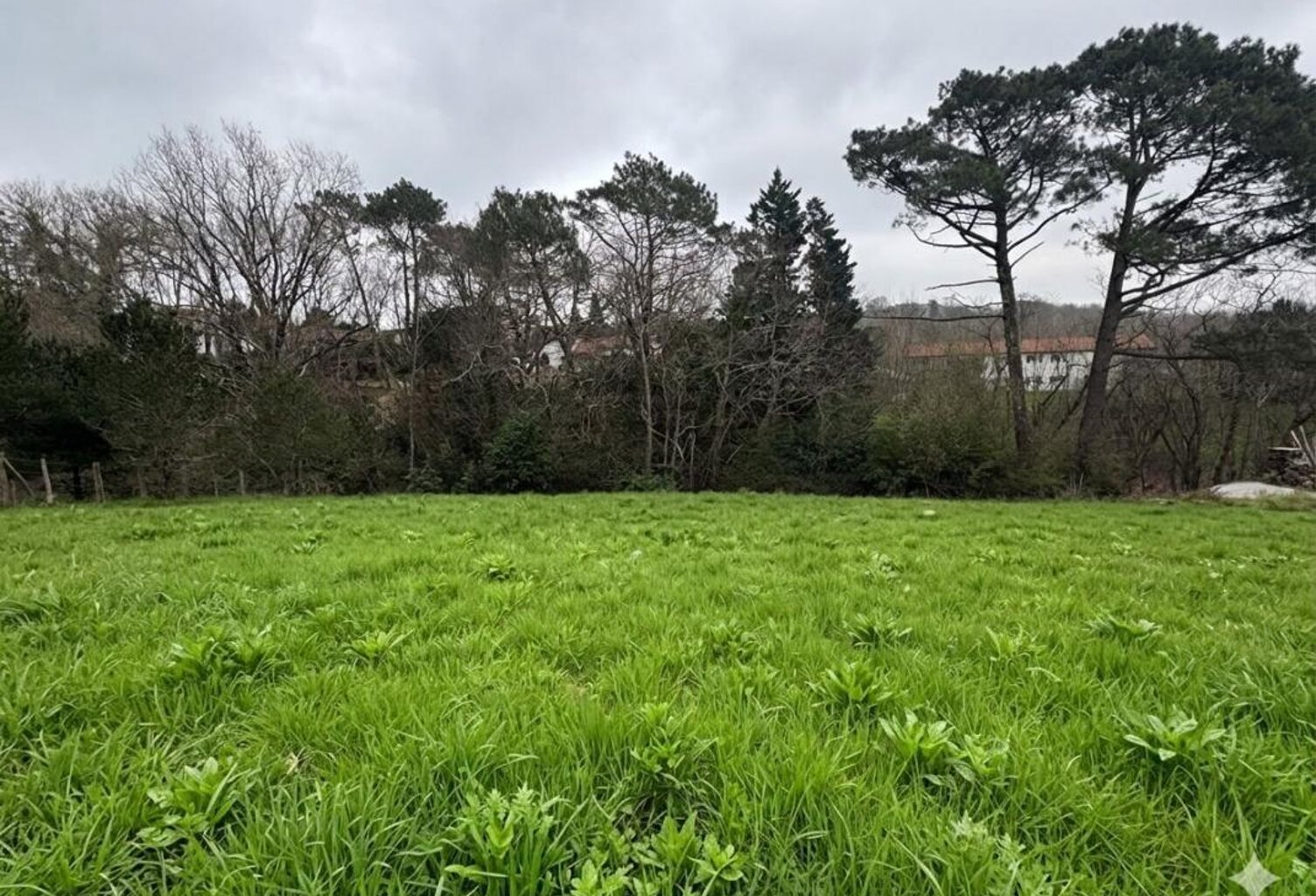 Terrain À Vendre — photo 1