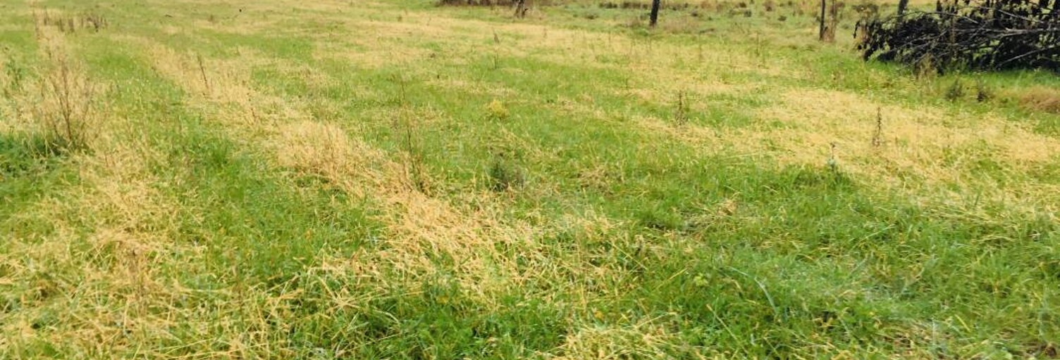 Terrain 410 m² à construire Gauriaguet (33240)