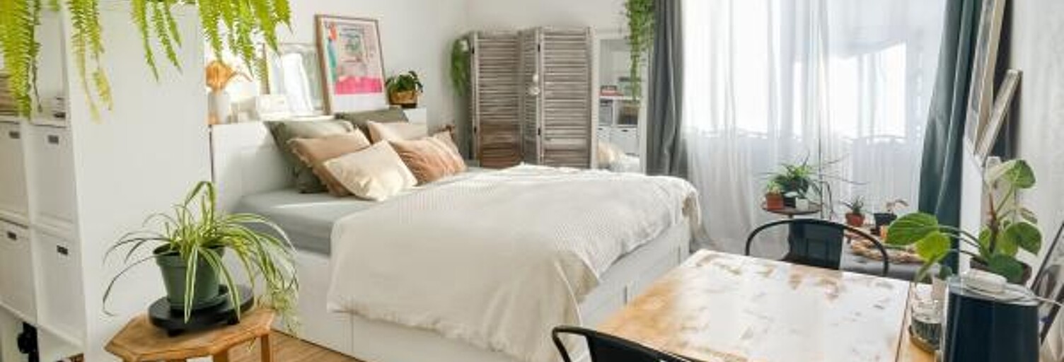 Appartement 1 Pièce 27 m² à louer à Toulouse (31400)