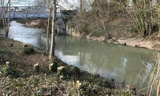 Terrain  787 m² à vendre à Dombasle-sur-Meurthe (54110)