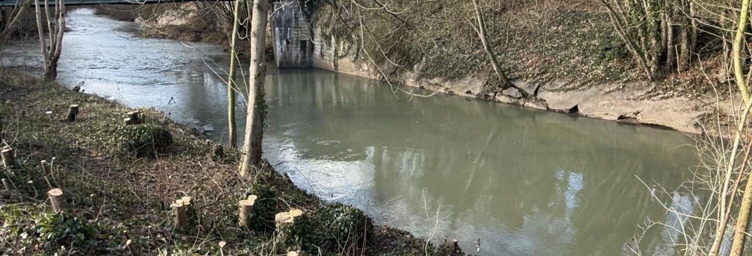 Terrain  787 m² à vendre à Dombasle-sur-Meurthe (54110)