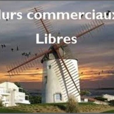 Commerce 3 pièces 263900 €