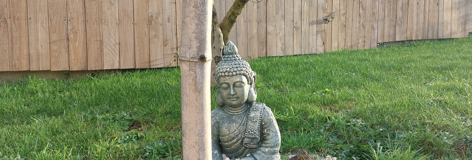 Maison 5 Pièces 85 m² à vendre à Savigné-l'Évêque (72460)