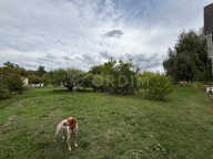 Pavillon sur sous-sol  total  202 m² habitables terrain 2542 m². — photo 4