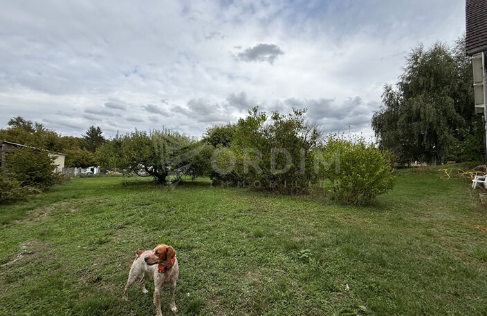 Pavillon sur sous-sol  total  202 m² habitables terrain 2542 m². — photo 4