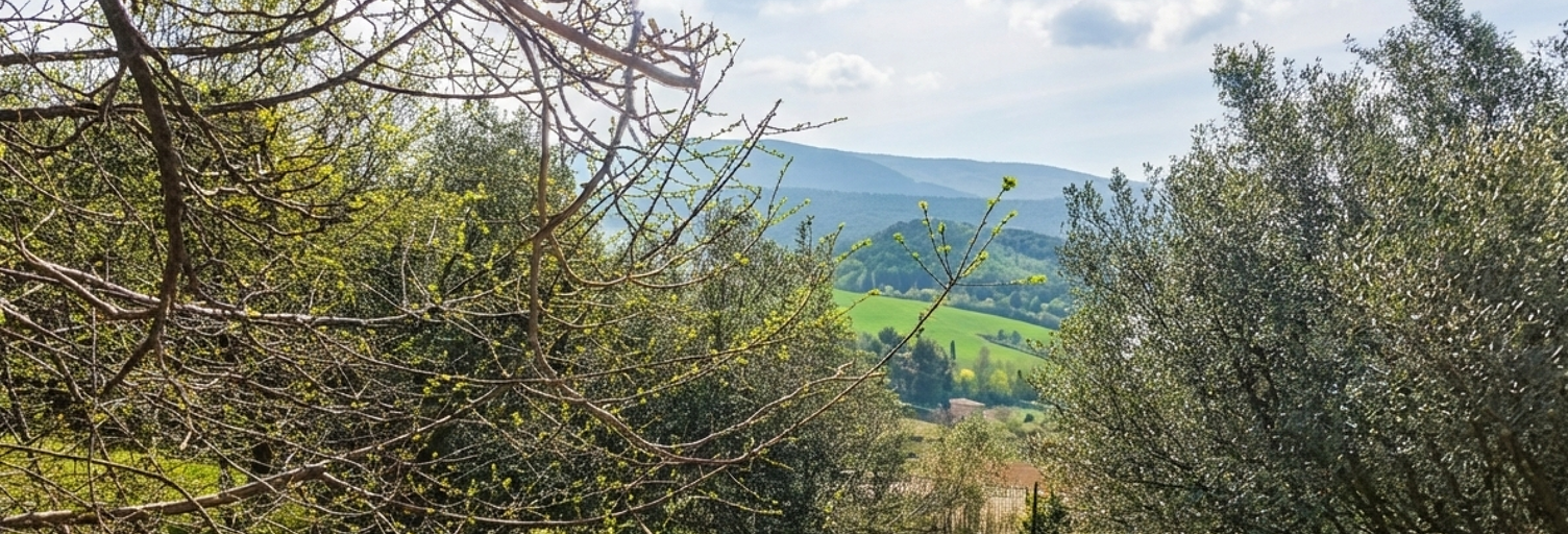 Maison 7 Pièces 133 m² à vendre à Auriol (13390)