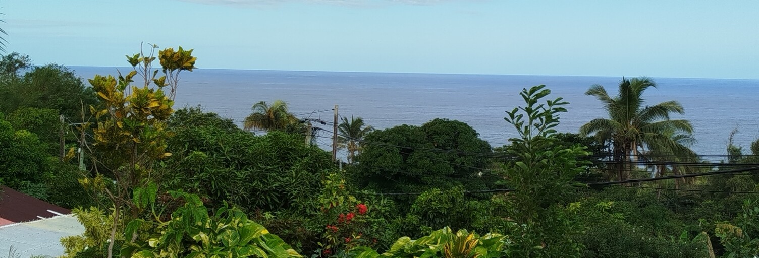 Maison 5 Pièces 90 m² à vendre à Saint-Joseph (97480)