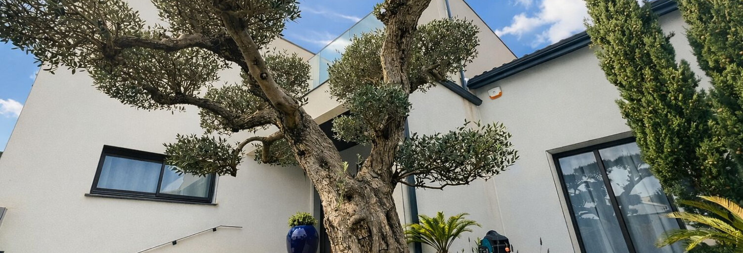 Maison 7 Pièces 255 m² à vendre à La Grande-Motte (34280)