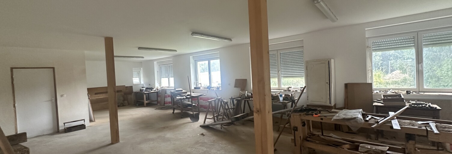 Appartement 1 Pièce 108 m² à vendre à Seppois-le-Bas (68580)